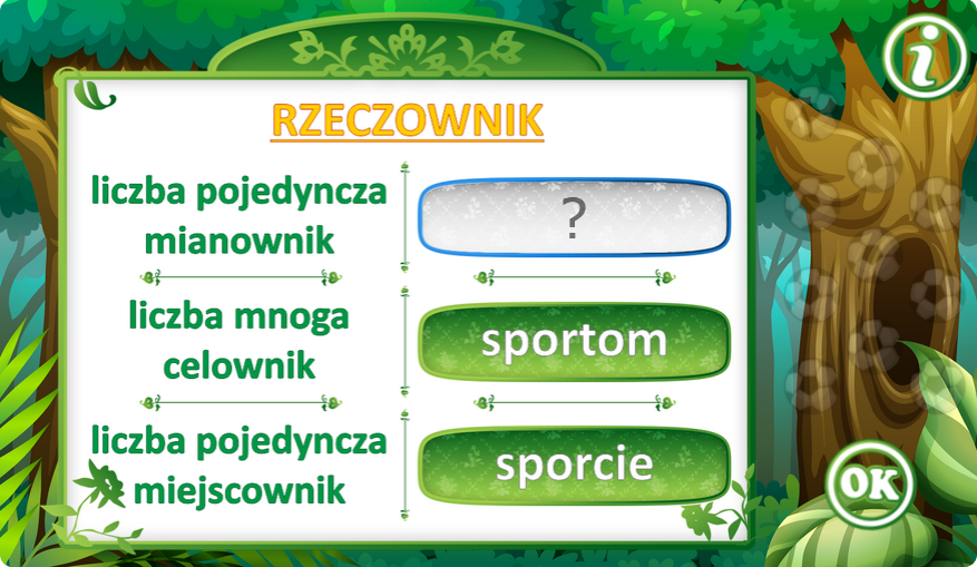 Odmiana rzeczowników przez przypadki
