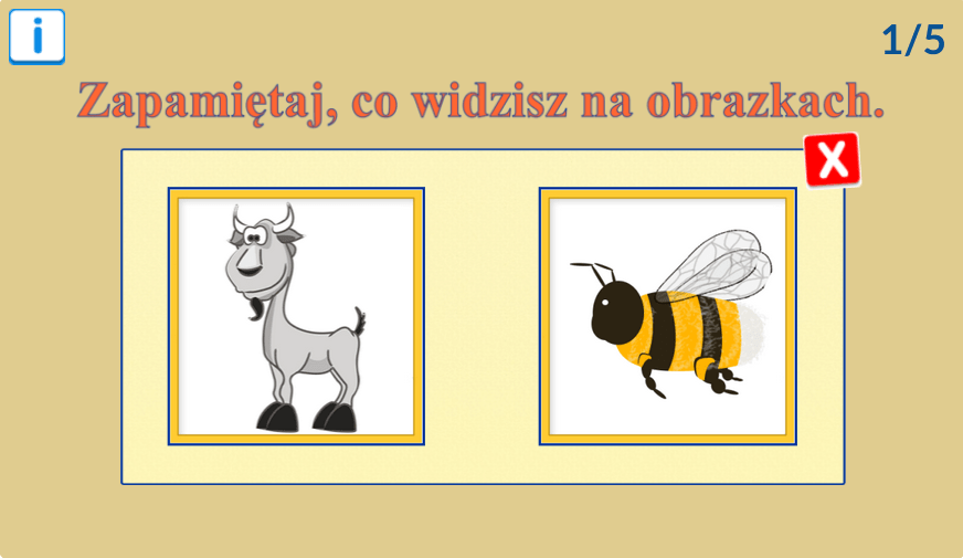 Zapamiętaj co widzisz